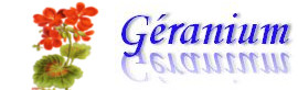 geranium