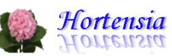 hortensia